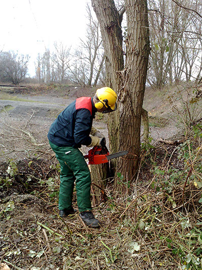 Galabau Midden Dienstleistungsangebot Motorsägenkurse