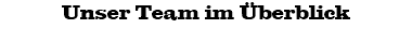 Unser Team im Überblick