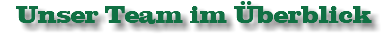 Unser Team im Überblick